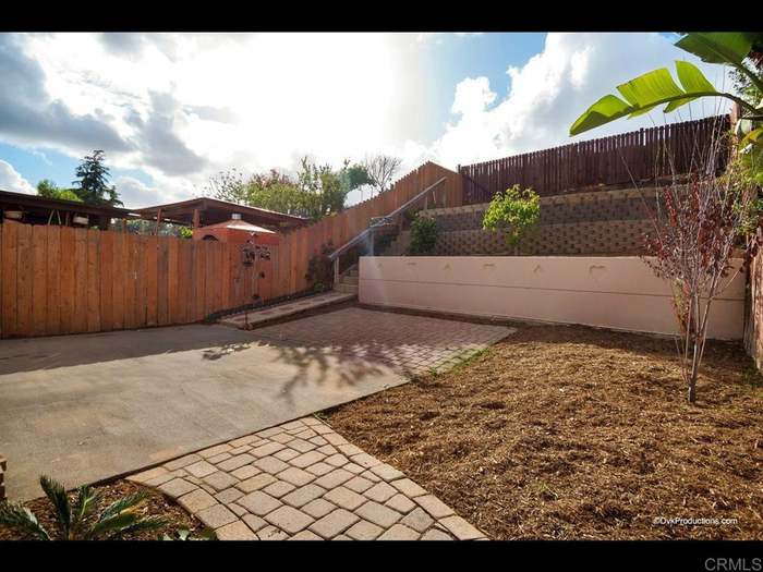 sharlotte san feet 6