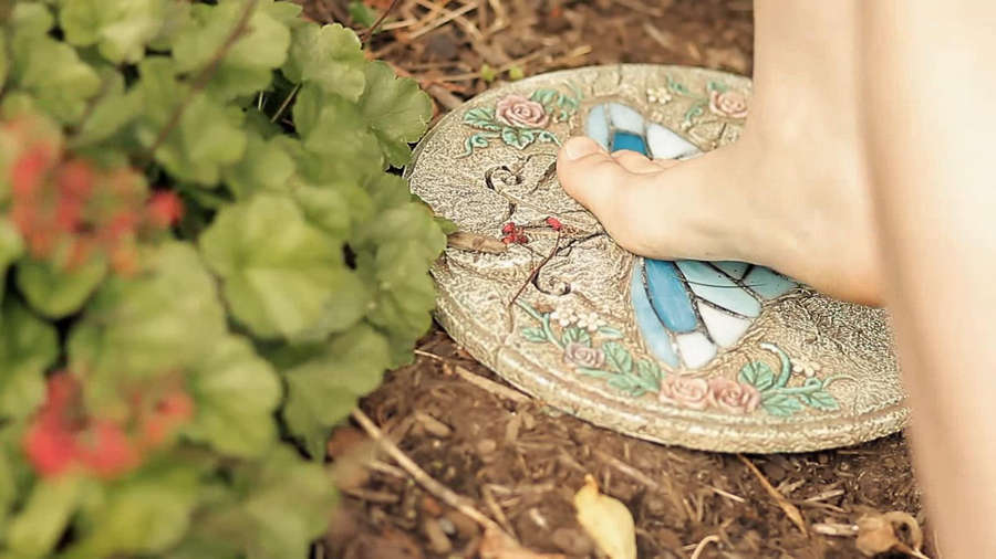 shawna howson feet 6