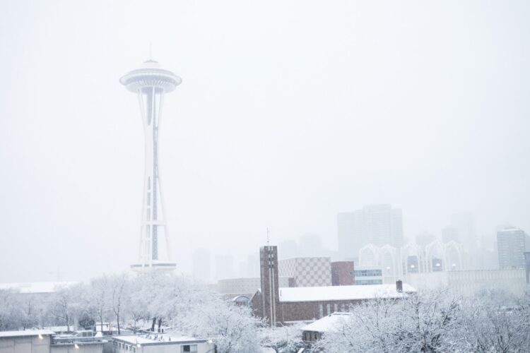 shaylyn tower feet 1