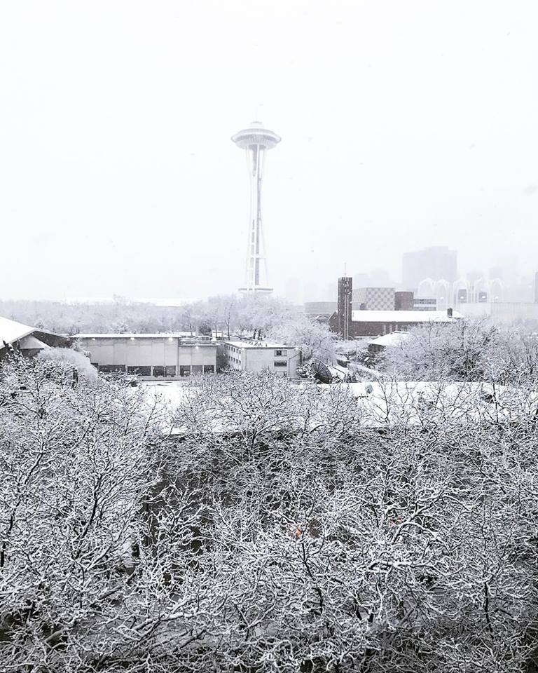 shaylyn tower feet 3