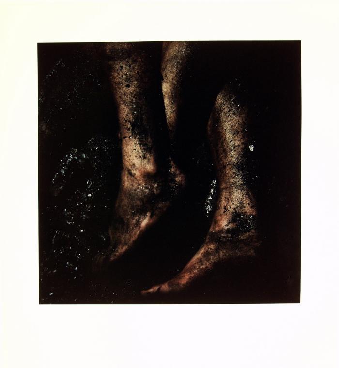 sheila piccolo feet 6