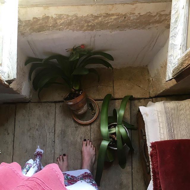 shelby flannery feet 2