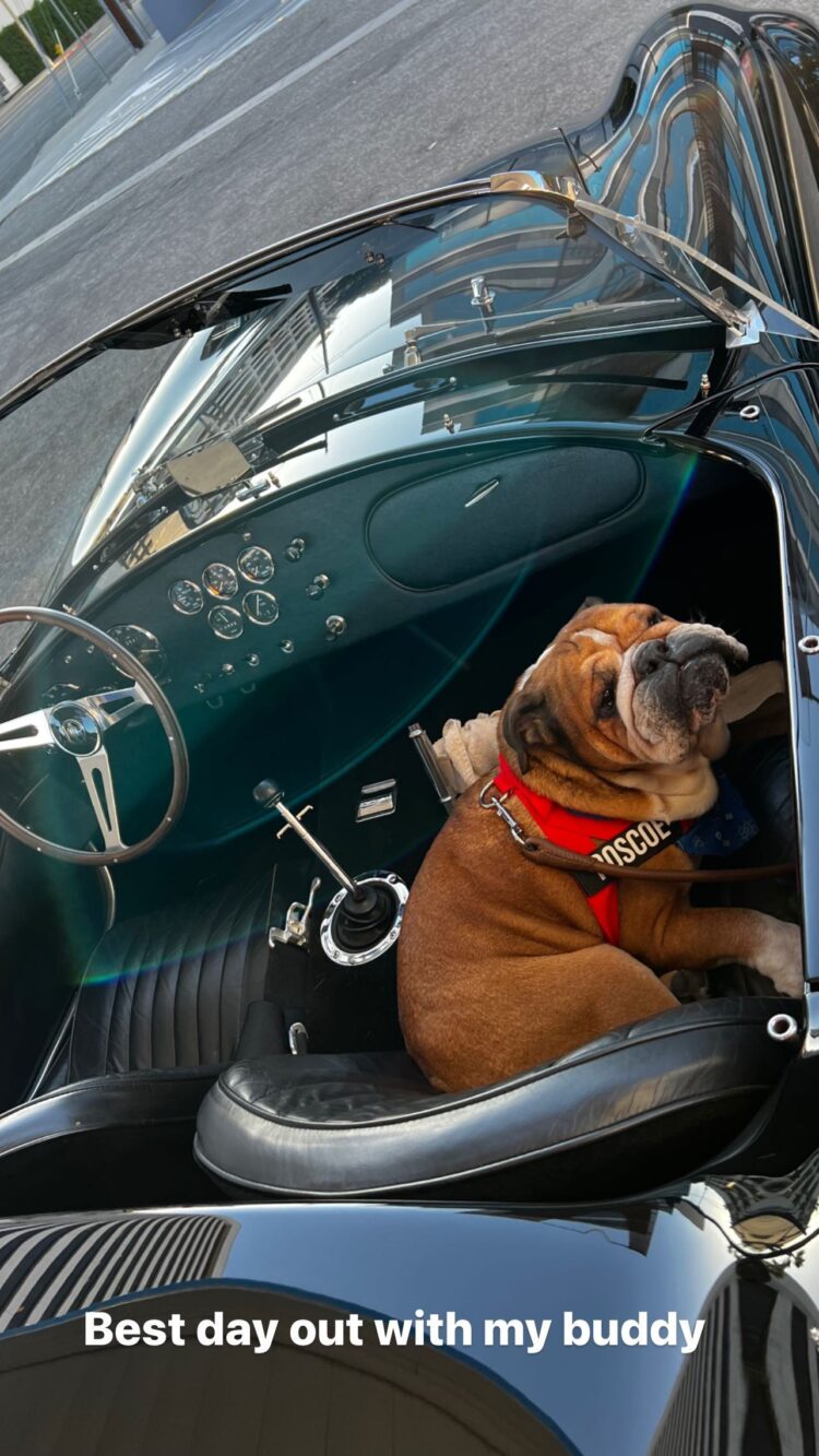 shelby hamilton feet 5