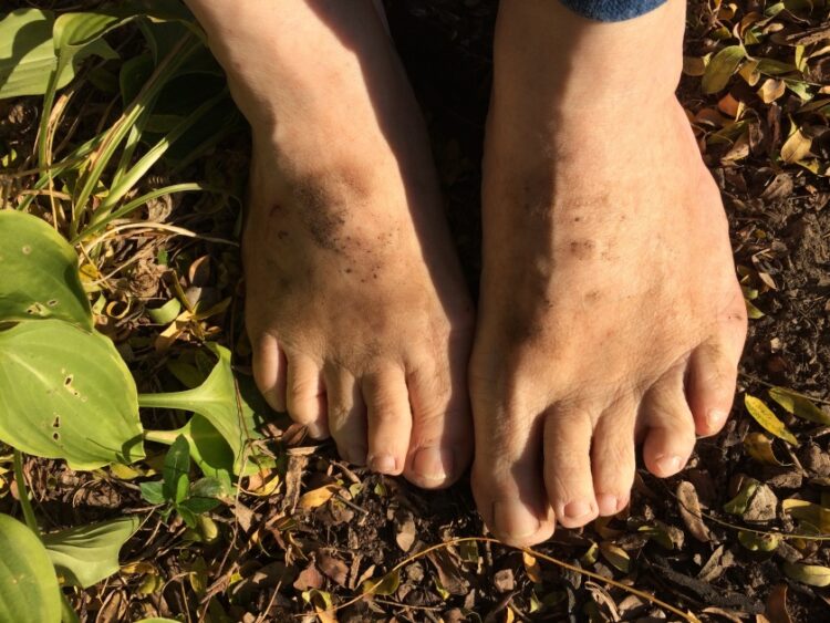 shelly jaronsky feet 6