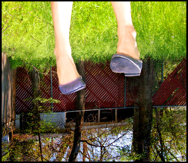 sherri dupree feet 4