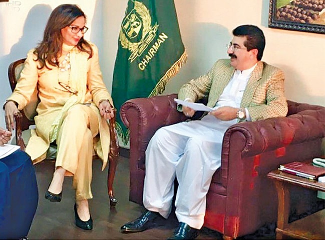 sherry rehman feet 6