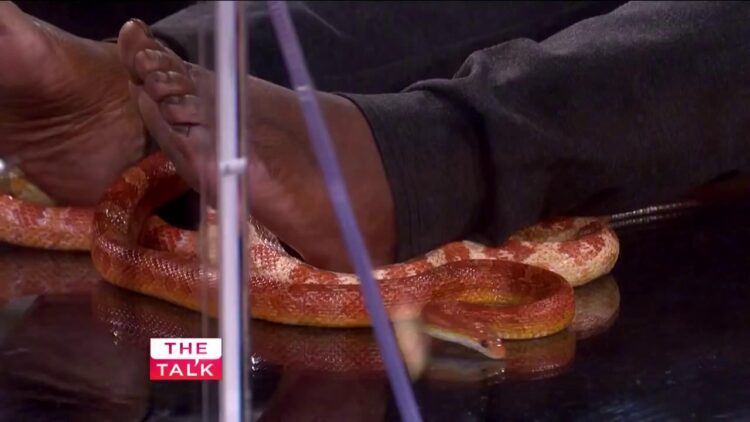 sheryl underwood feet 3