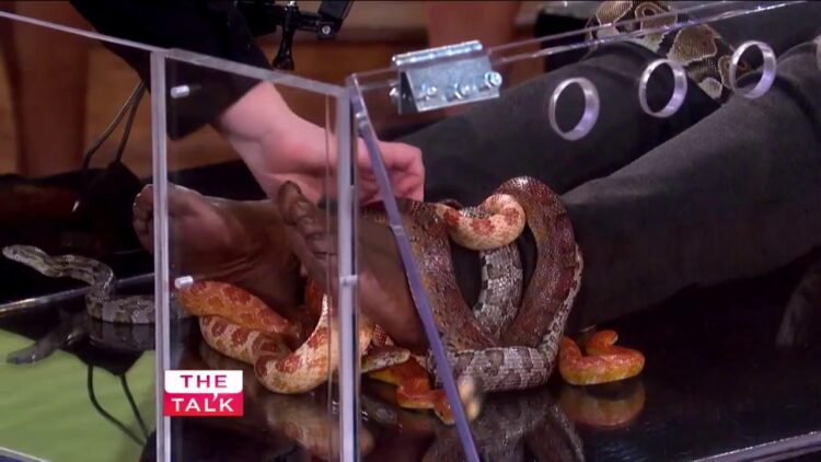 sheryl underwood feet 4