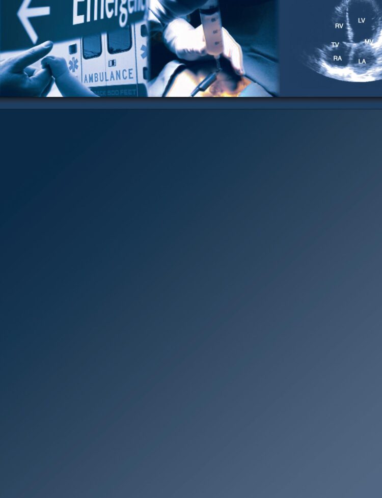 shiera al khaired feet 2 scaled