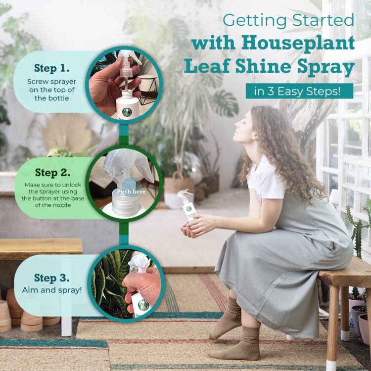 shine with plants feet 2