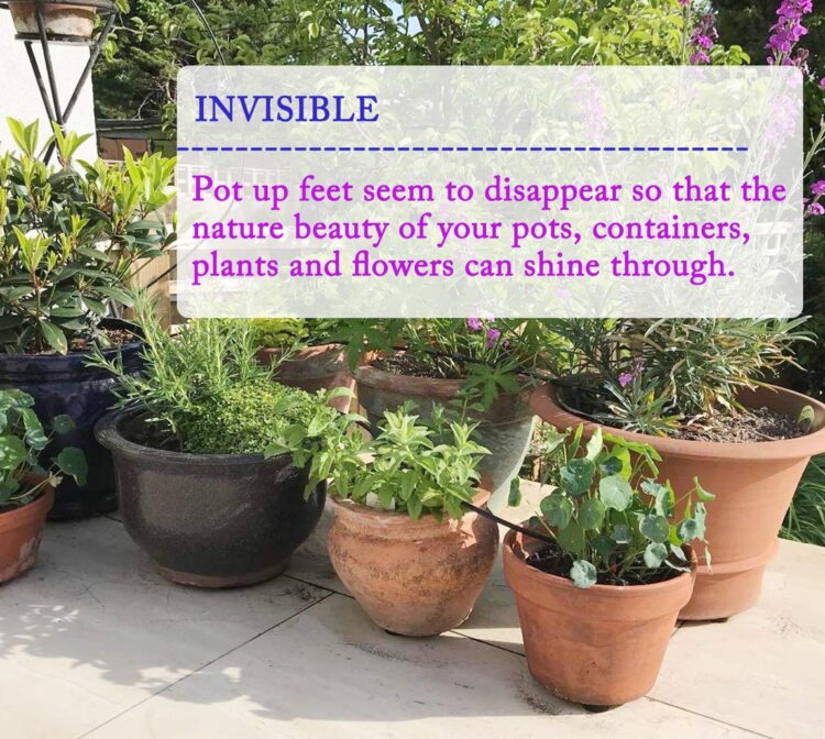 shine with plants feet 4