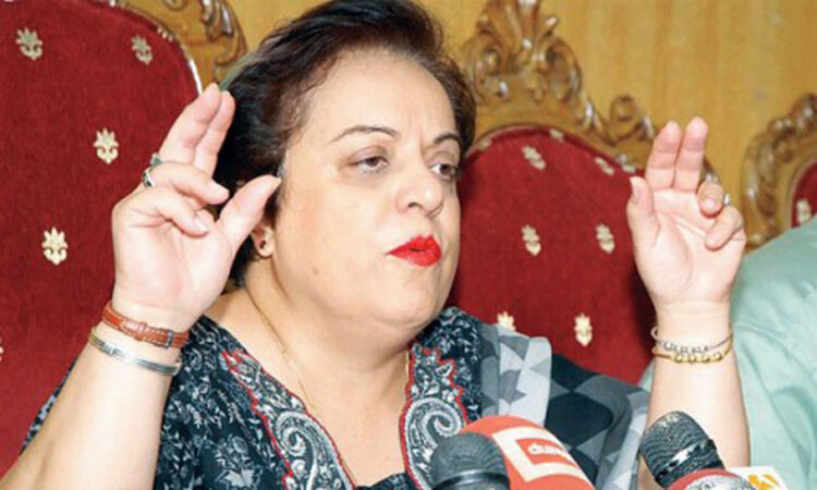 shireen mazari feet 4