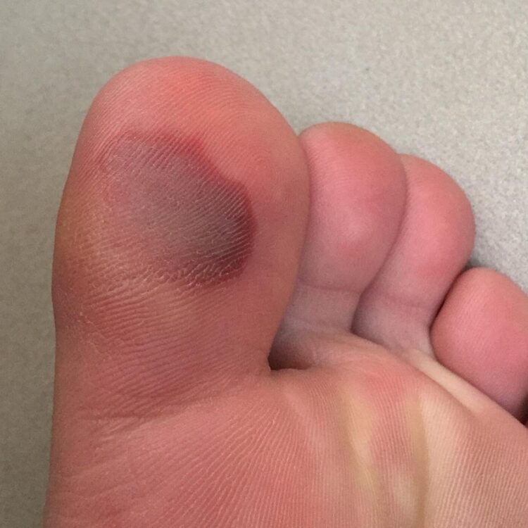 shirin oskooi feet 3