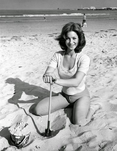 shirley anne field feet 6