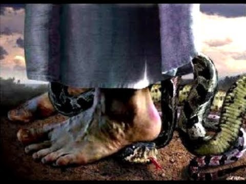 shirley carvalhaes feet