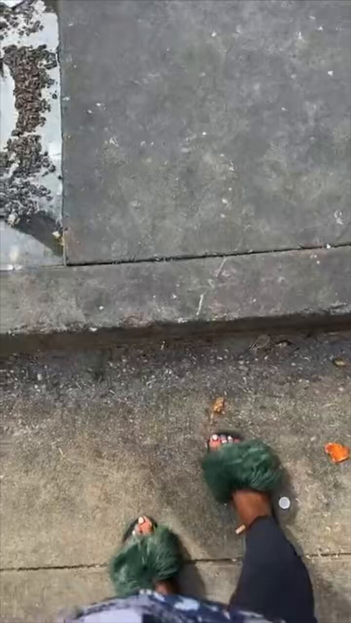 shirley raines feet 1