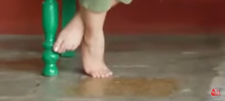 shweta singh feet 3