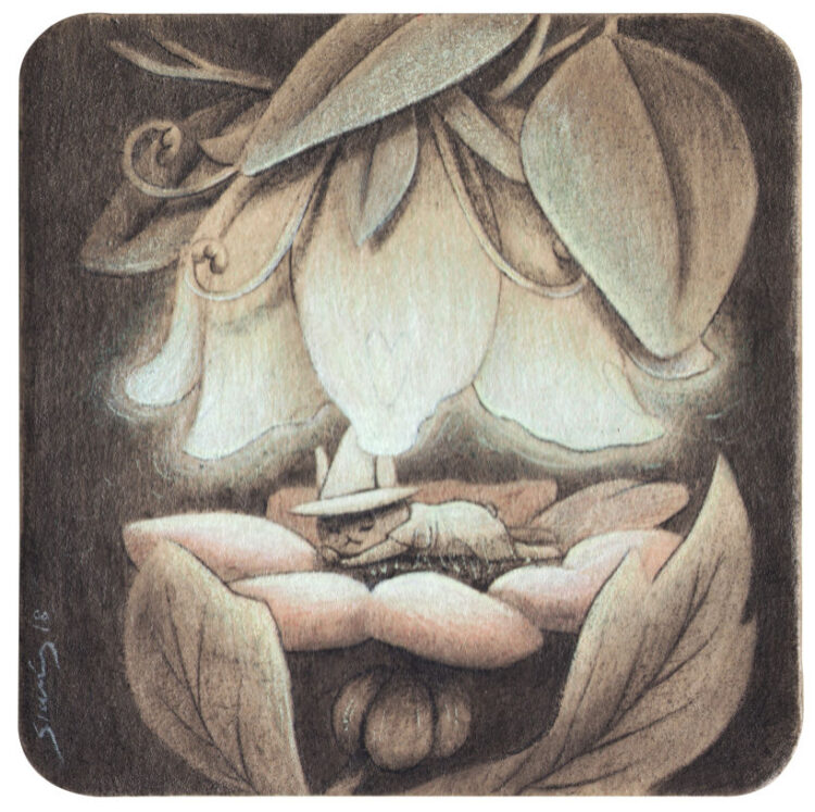 siames escalante feet 3