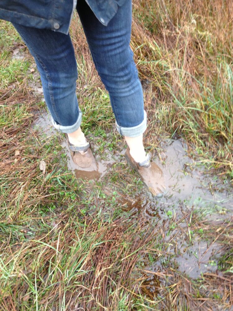 sian phillips feet 6 scaled