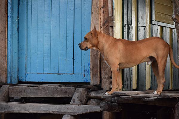 siboney briones feet 1