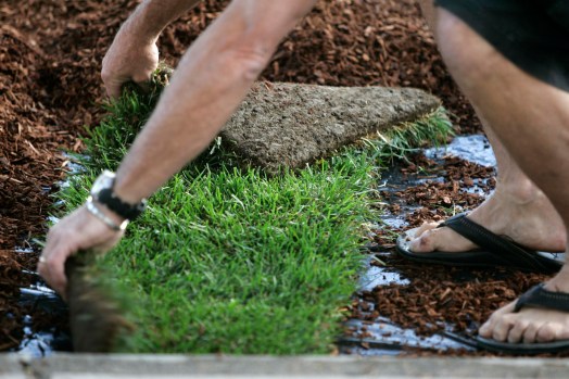 silvia flores feet 5