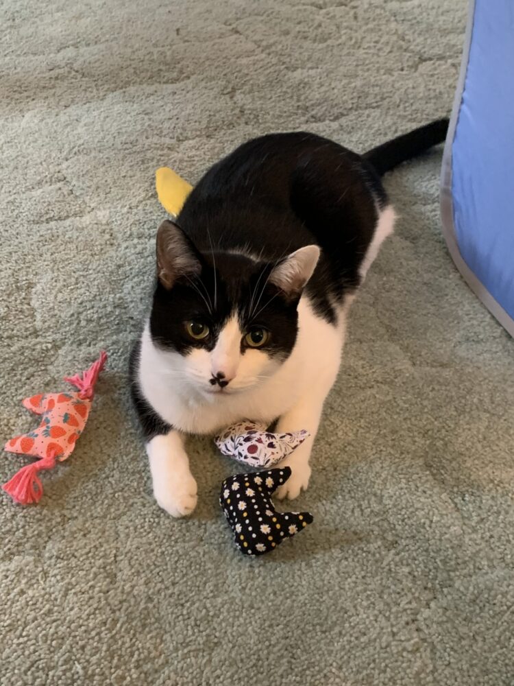 simon will feet 6 scaled