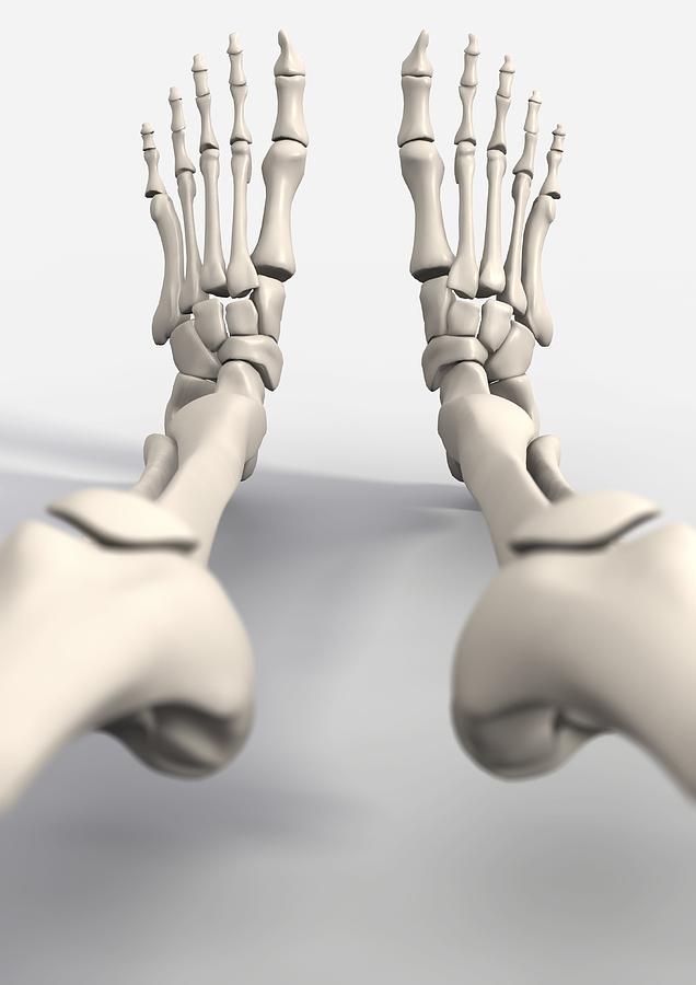 skelestan feet 2