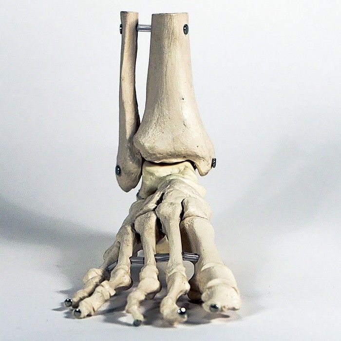 skelestan feet 5