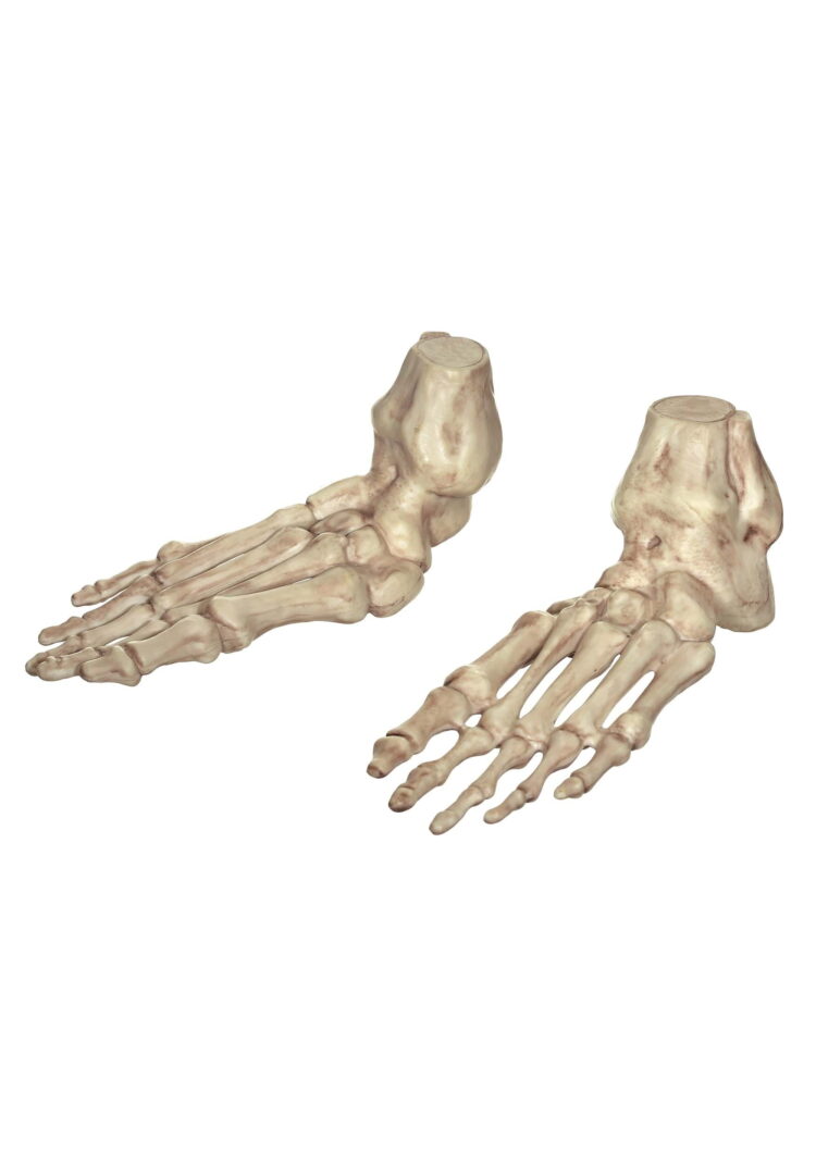skelestan feet