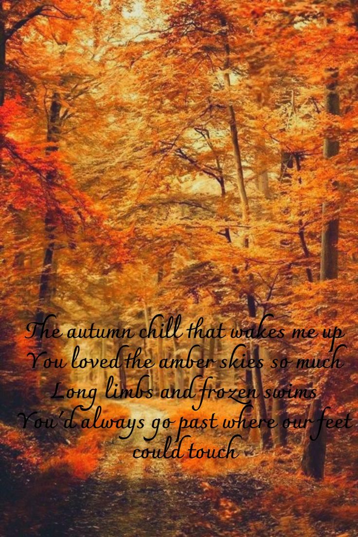 sky autumn amber feet 1