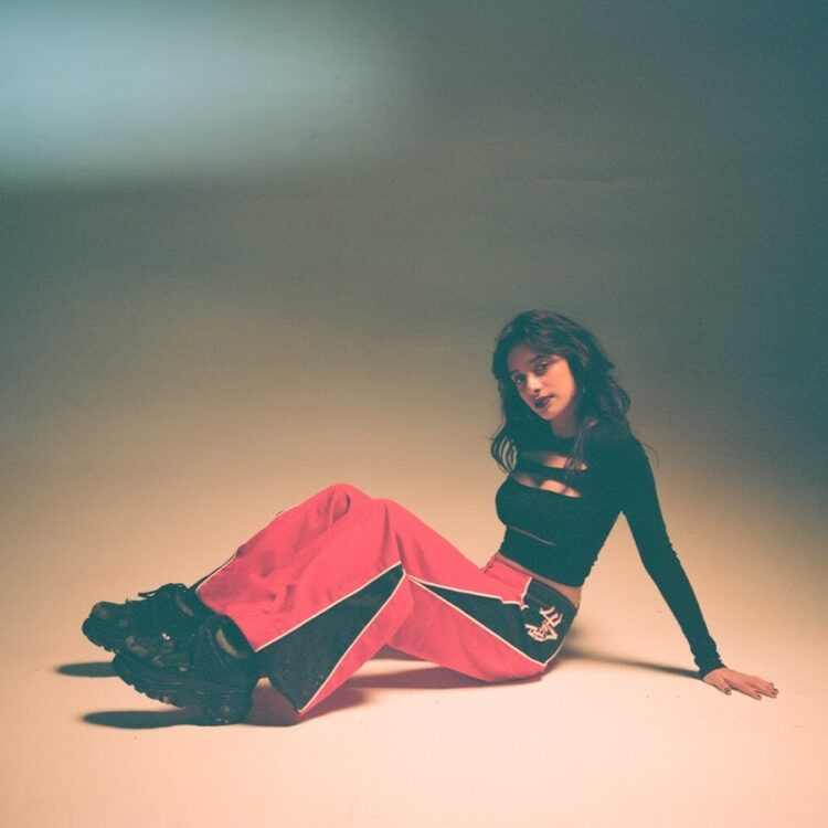 skylarskylarskylarrrr feet 2