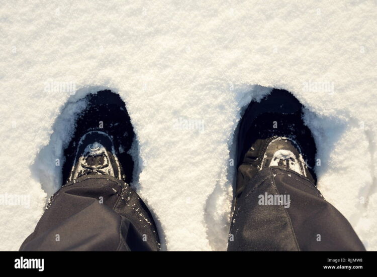 snow black feet 3
