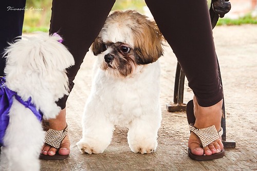 sofi fernanda feet 3