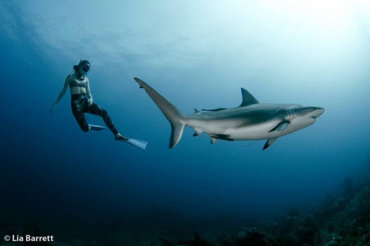 sofia gomez uribe feet 3