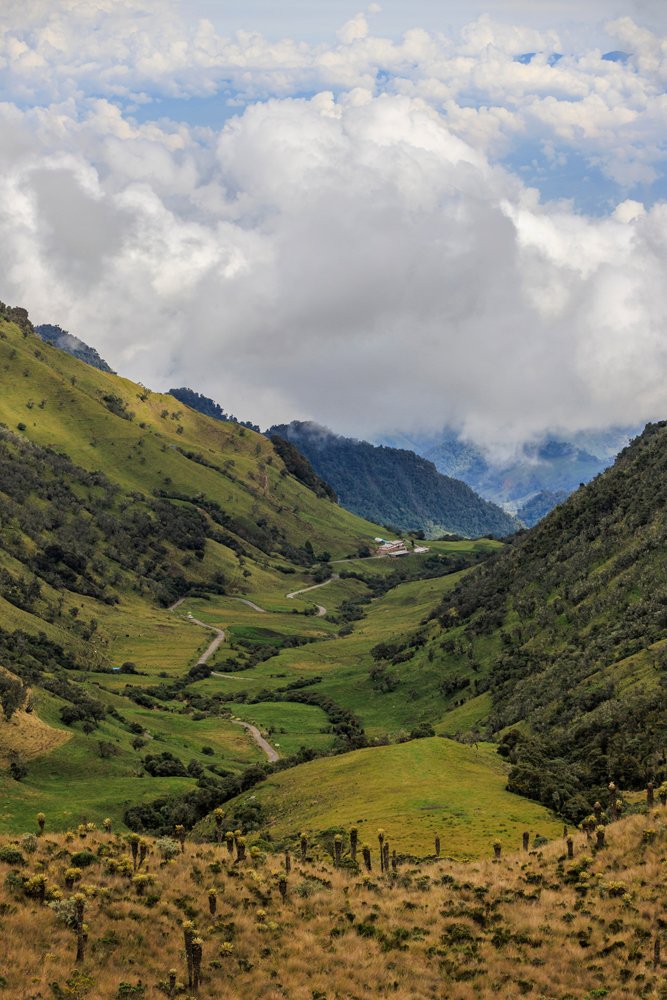 sofia jaramillo feet 3