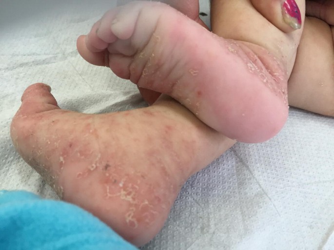 sofia marconi feet 3