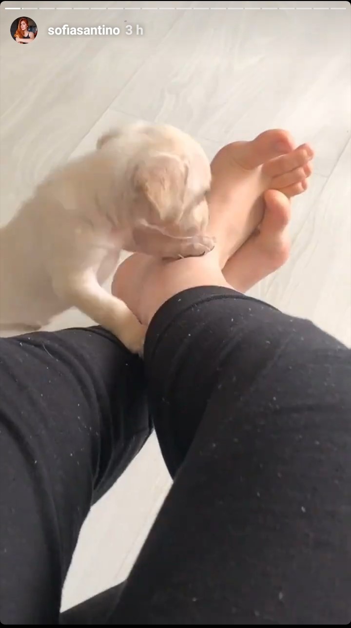 sofia santino feet 2