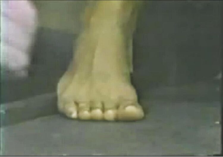 sonia manzano feet 5