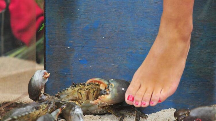 sonja zietlow feet 5