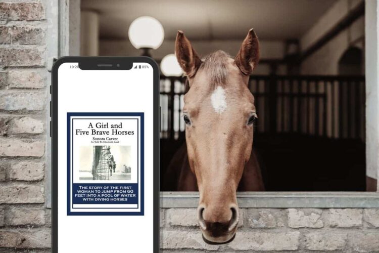 sonora webster carver feet 5