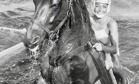 sonora webster carver feet 6