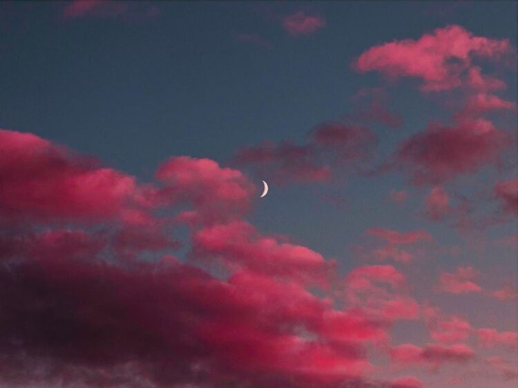 sophia ahamed feet 3