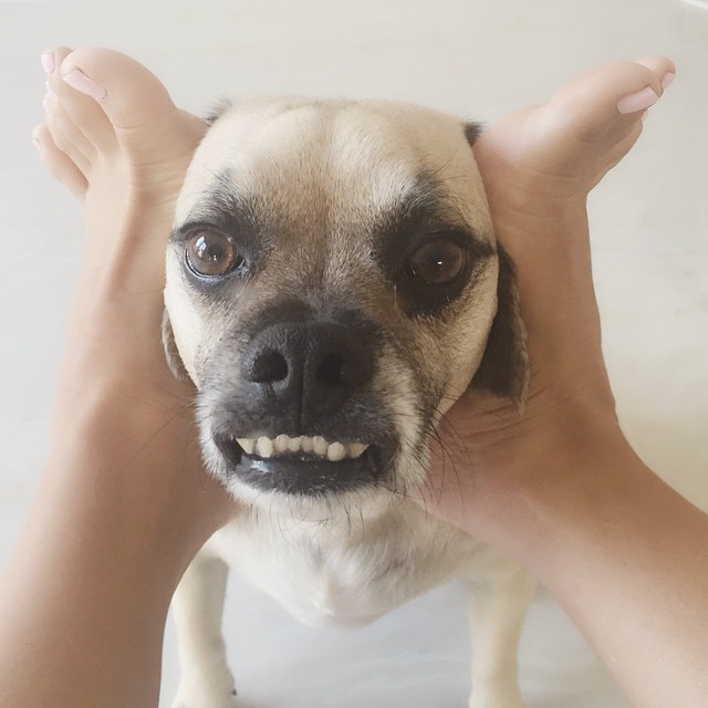 sophia crawford feet 6