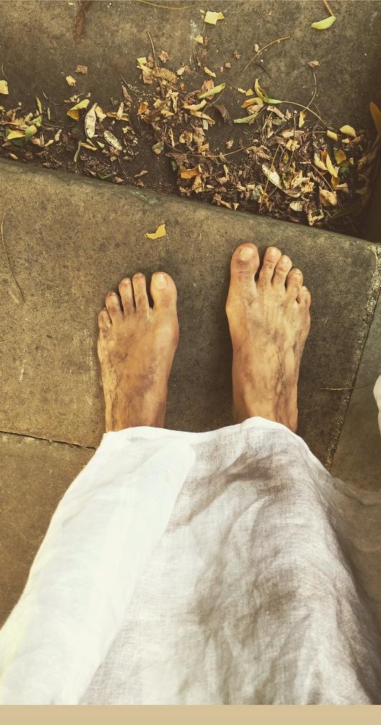 sophia di martino feet 3