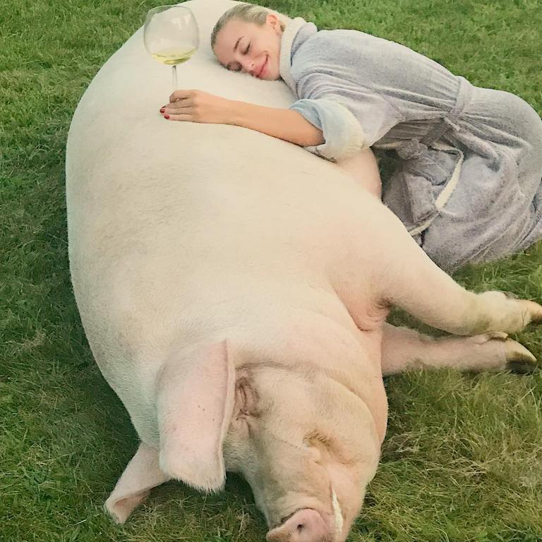 sophia phalen feet 5