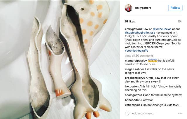 sophia toystosee feet