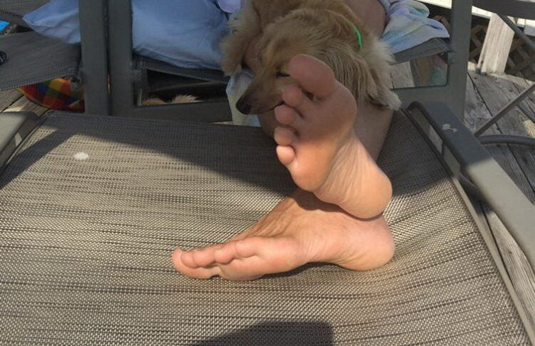sophie b feet