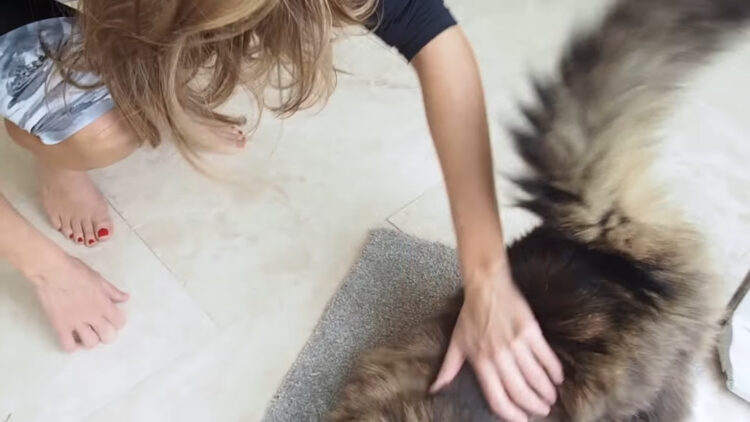 sophie stanbury feet 3