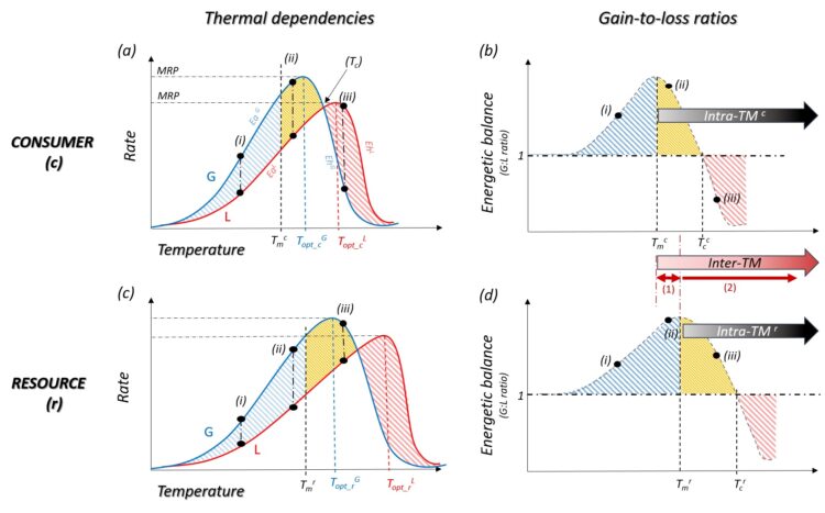 soraya alvarez feet 6