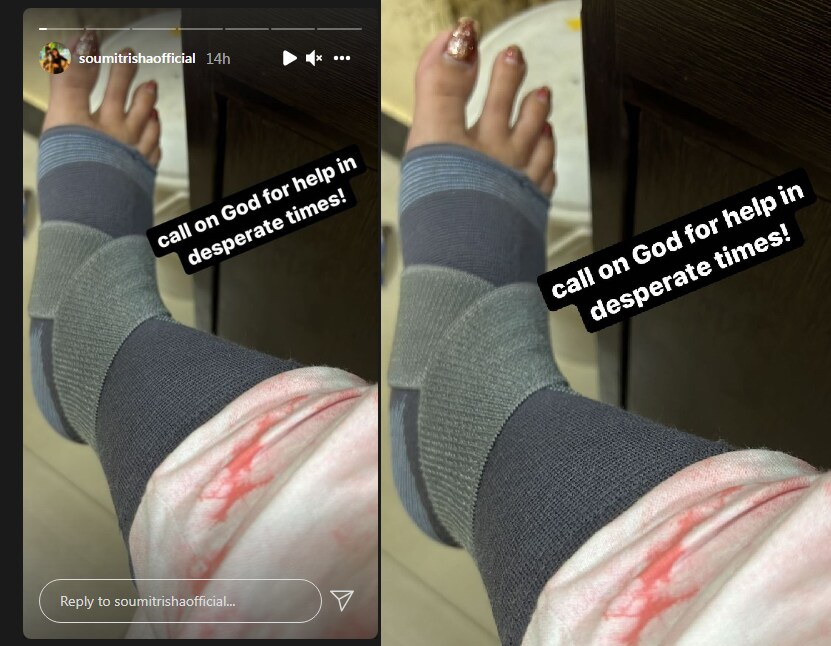 soumitrisha kundu feet 2